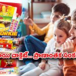 రంగురంగుల చాక్లెట్.. నిలువునా ముంచే విషం.. మీ బిడ్డకు ఇచ్చేది ప్రేమా? లేక మరణాన్నా?