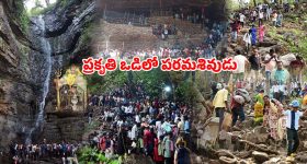 ఎలక్ట్రిక్ vs పెట్రోల్ స్కూటర్.. ఏది కొంటే సేవింగ్ ఎక్కువ?