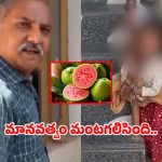 జామ పండ్లు కోసిందని, చిన్నారిని గొలుసులతో కట్టివేసిన రిటైర్డ్ ఆర్మీ అధికారి, వీడియో వైరల్