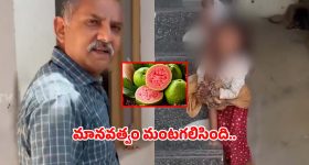 జామ పండ్లు కోసిందని, చిన్నారిని గొలుసులతో కట్టివేసిన రిటైర్డ్ ఆర్మీ అధికారి, వీడియో వైరల్