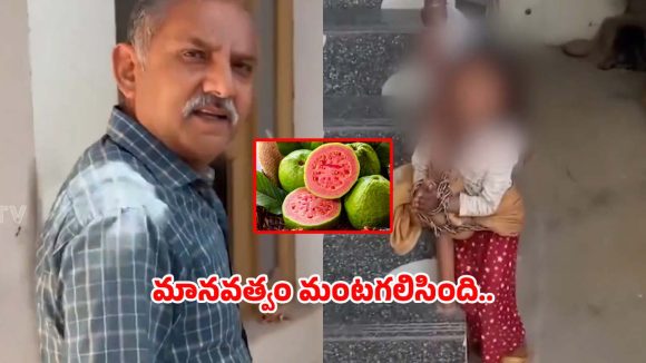 జామ పండ్లు కోసిందని, చిన్నారిని గొలుసులతో కట్టివేసిన రిటైర్డ్ ఆర్మీ అధికారి, వీడియో వైరల్