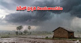 Kavitha: కేసీఆర్‌కు కవిత షాక్.. 'TRS' పేరుతో కొత్త పార్టీ? గులాబీ కోటలో ముసలం!