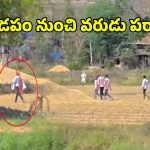 తాళి కట్టే వేళ.. మండపం నుంచి పెళ్లికొడుకు జంప్.. అసలేం జరిగిందంటే?