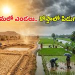 ఏపీలో వింత వాతావరణం.. ఒకచోట భానుడి భగభగలు.. మరోచోట వరుణుడి పలకరింపు!