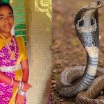 పుట్టినరోజు పూట విషాదం.. నిద్రిస్తున్న బాలికను బలితీసుకున్న కాలనాగు!
