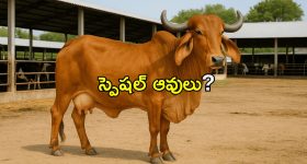 గ్లోబల్ ‘సేవ్ సాయిల్’ ఉద్యమం పుస్తకం ఆవిష్కరణ.. ఎక్కడంటే?