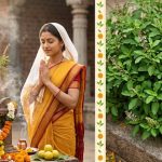 ఇంట్లో తులసి మొక్క పక్కనే ఈ మొక్కలు పెంచకూడదు.. ఎంత హాని జరుగుతుందంటే