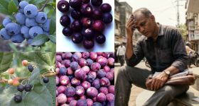 వేసవిలో కొన్ని రోజులు మాత్రమే లభించే ఎర్రని పండు.. సైజులో చిన్నదైనా ఆరోగ్య లాభాలు మెండు