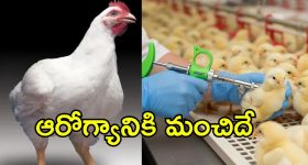 పాక్ ప్రజలకు భారీ ఊరట.. లీటర్ పెట్రోల్‌పై రూ.80 తగ్గింపు.. పండుగ చేసుకుంటున్న జనం!