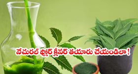 రూపాయి ఖర్చు లేకుండా ఫ్లోర్ క్లీనర్ తయారీ.. దీంతో మీ ఇల్లు మెరిసిపోవడం గ్యారెంటీ!