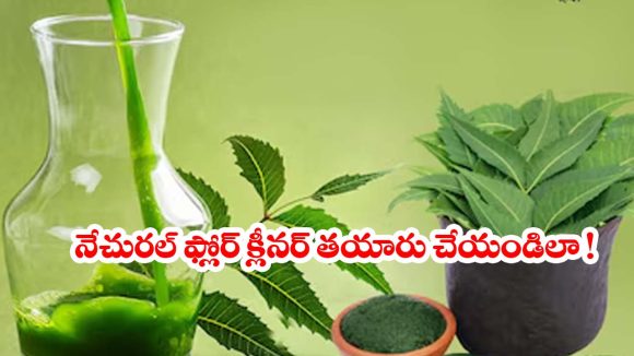 రూపాయి ఖర్చు లేకుండా ఫ్లోర్ క్లీనర్ తయారీ.. దీంతో మీ ఇల్లు మెరిసిపోవడం గ్యారెంటీ!