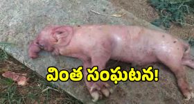 తమిళనాడులో బాణసంచా పరిశ్రమలో పేలుడు.. 22 మంది సజీవ దహనం!