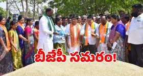 BLDC vs Normal Fans: రెండూ సీలింగ్ ఫ్యాన్లే.. కానీ టెక్నాలజీలో ఎంత తేడానో.. కచ్చితంగా తెలుసుకోవాల్సిందే!