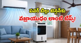 టీవీకే అధినేత విజయ్‌కు మద్రాస్ హైకోర్టులో ఊరట