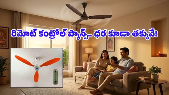 బెడ్ దిగక్కర్లేదు.. రిమోట్‌తో ఫ్యాన్ వేయొచ్చు.. తక్కువ ధరలో లభించే టాప్-5 మోడల్స్ ఇవే!