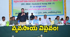 వరి పంటలో సరికొత్త రికార్డ్.. RNR 25105 వంగడం సిద్ధం..!