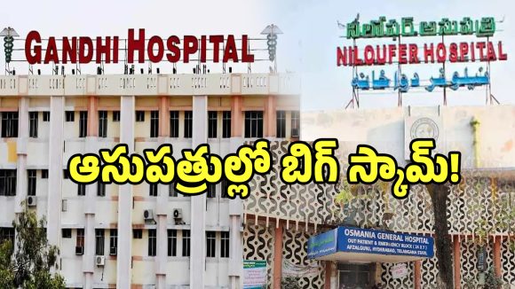 ప్రభుత్వ ఆసుపత్రుల్లో బిగ్ స్కామ్.. షాక్‌లో ఉన్నతాధికారులు