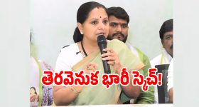 కవిత కొత్త పార్టీ అజెండా వెనుక ఉన్న అసలు రహస్యం ఇదే..?