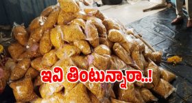 కొమ్ముగూడెం పంచాయతీలో గందరగోళం.. ఇళ్లు కట్టకుండానే నిధులు స్వాహ!