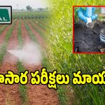 ఐదేళ్లుగా నిద్రపోతున్న వ్యవసాయ శాఖ.. ఆటకెక్కిన భూసార పరీక్షలు
