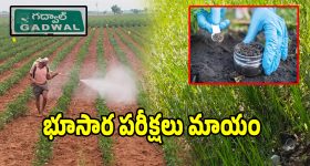 ఎవరు వేటగాడు? ఎవరు బలిపశువు? క్లైమాక్స్ వరకు ఉత్కంఠ కలిగించే సినిమా