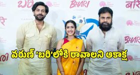 వరుణ్ తేజ్ త్వరగా కోలుకోవాలని డిప్యూటీ సీఎం పవన్ కళ్యాణ్ ఆకాంక్ష..