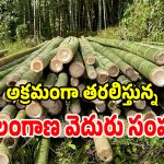 అక్రమంగా వేరే రాష్ట్రాలకు తరలిస్తున్న తెలంగాణ వెదురు సంపద