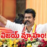 బాక్సాఫీస్ టూ బ్యాలేట్ బ్యాక్స్.. డీఎంకే వారసత్వ కోటను విజయ్ బద్దలు కొట్టగలడా..?