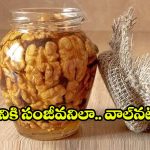 వాల్‌నట్స్ నానబెట్టిన నీరు పారబోస్తున్నారా? ఈ లాభాలు తెలిస్తే షాక్ అవుతారు!