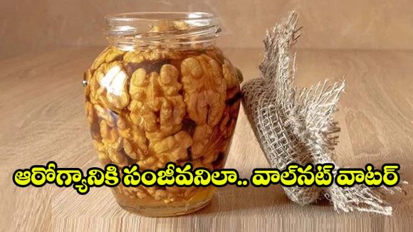 వాల్‌నట్స్ నానబెట్టిన నీరు పారబోస్తున్నారా? ఈ లాభాలు తెలిస్తే షాక్ అవుతారు!