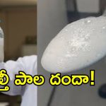 రాష్ట్రంలో మేఘన పుడ్స్ అత్యుత్సాహం.. విచ్చల విడిగా కల్తీ దందా!