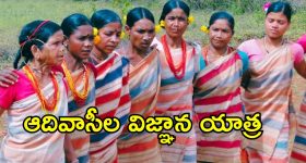 పంజాబ్ నేషనల్ బ్యాంక్‌లో ఆఫీసర్ జాబ్స్,  బీటెక్ పాసైతే చాలు!