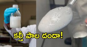 రాష్ట్రంలో మేఘన పుడ్స్ అత్యుత్సాహం.. విచ్చల విడిగా కల్తీ దందా!