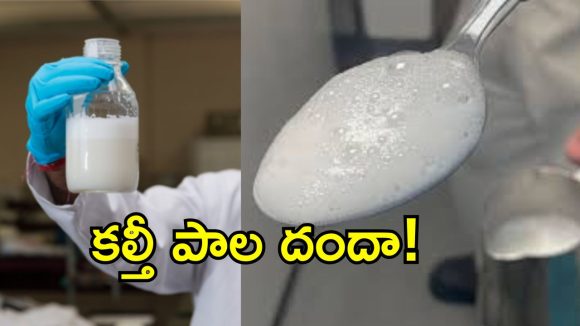 రాష్ట్రంలో మేఘన పుడ్స్ అత్యుత్సాహం.. విచ్చల విడిగా కల్తీ దందా!