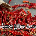 ఎర్రటి మిరపకాయలు ఏడాది కాలం రంగు, రుచి మారకూడదా?