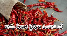 ఢిల్లీ, పంజాబ్, హర్యానాలో ఆరెంజ్ అలర్ట్ జారీ.. ఉత్తరాది రాష్ట్రాల్లో భారీ వర్షాలు, వడగండ్ల వానల హెచ్చరిక!