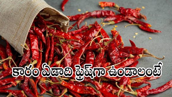 ఎర్రటి మిరపకాయలు ఏడాది కాలం రంగు, రుచి మారకూడదా?
