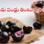 నేరేడు పండ్లు తింటున్నారా? ఈ పదార్థాలతో కలిపి తింటే ప్రాణాలకే ప్రమాదం!