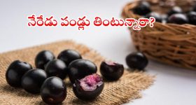 నేరేడు పండ్లు తింటున్నారా? ఈ పదార్థాలతో కలిపి తింటే ప్రాణాలకే ప్రమాదం!
