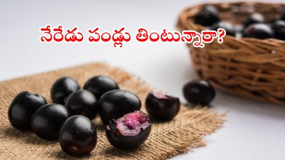 నేరేడు పండ్లు తింటున్నారా? ఈ పదార్థాలతో కలిపి తింటే ప్రాణాలకే ప్రమాదం!