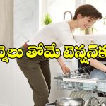 డిష్‌వాషర్ కొనాలనుకుంటున్నారా? ఇండియన్ కిచెన్‌కు పర్ఫెక్ట్‌గా సెట్ అయ్యే బెస్ట్ ఆప్షన్స్!