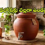 మట్టి కుండలోని నీరు ఐస్ వాటర్ మారాలా ? ఈ చిన్న ట్రిక్స్ పాటిస్తే చాలు