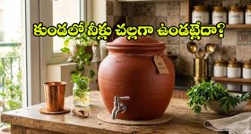 మట్టి కుండలోని నీరు ఐస్ వాటర్ మారాలా ? ఈ చిన్న ట్రిక్స్ పాటిస్తే చాలు