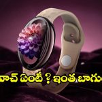 మోడరన్ ఉమెన్స్ కోసం టైటాన్ నుంచి సూపర్ స్టైలిష్ వాచ్.. చూస్తే చూపు తిప్పుకోలేరు