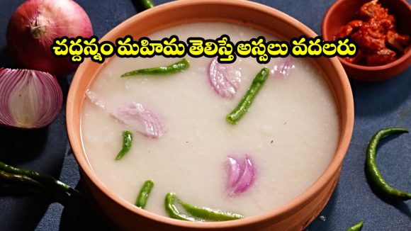 చద్దన్నం మహిమ తెలిస్తే అస్సలు వదలరు.. ఎండదెబ్బకి చెక్ పెట్టే బెస్ట్ సూపర్ ఫుడ్!