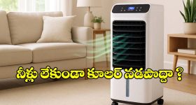బీఆర్ఎస్ అధికారంలోకి.. వచ్చేది లేదు సచ్చేది లేదు.. టీపీసీసీ చీఫ్ షాకింగ్ కామెంట్స్