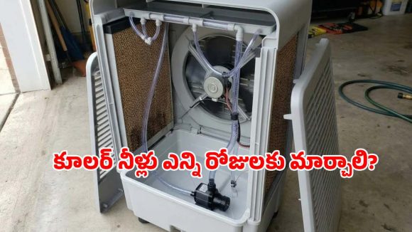 కూలర్ నీటిని ఎన్ని రోజులకు ఒకసారి మార్చాలి? నిర్లక్ష్యం చేస్తే ఈ సమస్యలు గ్యారెంటీ!