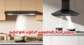 గుర్తుపట్టలేని విధంగా మారిపోయిన ఎన్టీఆర్ హీరోయిన్.. ఇప్పుడేలా ఉందంటే..?