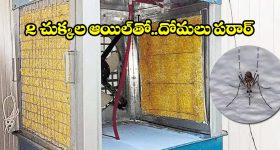 అల్ట్రావయోలెట్ టెసరాక్ట్ వచ్చేస్తోంది.. ఓలా, ఏథర్ కు ఇక చుక్కలే!