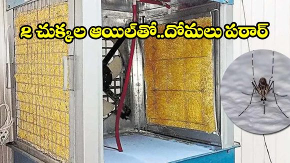 సమ్మర్‌లో దోమల బెడదా? కూలర్ ట్యాంకులో ఈ ఆయిల్ వేస్తే సమస్య దూరం